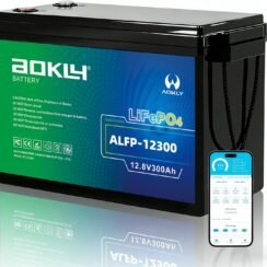 AOKLY Mini 12V 300Ah LiFePO4 Battery Review (2026) — Worth Buying?