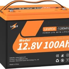 12V 100Ah LiFePO4 Battery (1Pack) Review — Is It Worth Buying? 12V 100Ah LiFePO4 Battery (1Pack) Review — Is It Worth Buying?