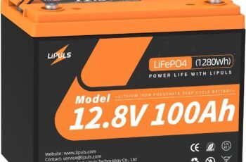 12V 100Ah LiFePO4 Battery (1Pack) Review — Is It Worth Buying?