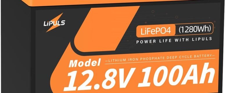 12V 100Ah LiFePO4 Battery (1Pack) Review — Is It Worth Buying?