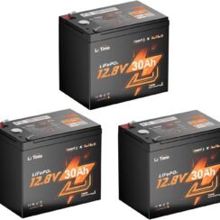 Litime 12v 100Ah RV LiFePO4 Lithium Battery for Van, Marine, Off-Grid