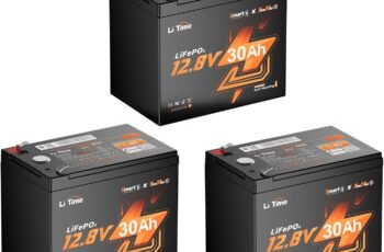 Litime 12v 100Ah RV LiFePO4 Lithium Battery for Van, Marine, Off-Grid