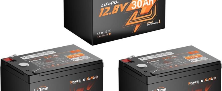 Litime 12v 100Ah RV LiFePO4 Lithium Battery for Van, Marine, Off-Grid