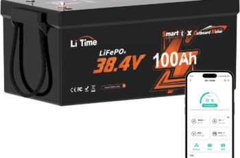 Litime 36V 100Ah OBM Bluetooth Low-Temp Protection LiFePO4 Battery Review